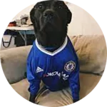 Khán giả Chân Đen Sì